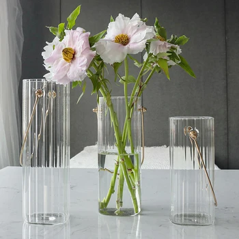 Moderní Transparentní Skleněná Váza Nordic Skleněné Vázy Hydroponické Váza Svatební Stůl Dekor Obývací Pokoj, Květinová Váza Domova